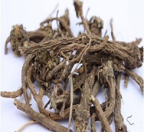 ANACYCLUS PYRETHRUM PELLITORY AKARKARA ROOT POWDER- Ayurveda Herbal Whole Roots