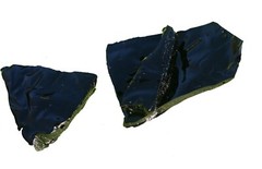 Black Alder (Alnus glutinosa) 1:100 potency resin extract