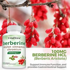 Berberine HCI With Ceylon Cinnamon 1000mg Immune Metabolism Support 120 Capsules