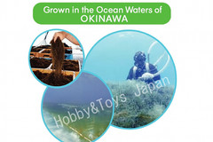 2 Boxes Okinawa Fucoidan Kanehide Bio 180 Caps 100% Mozuku Extract Supplement D