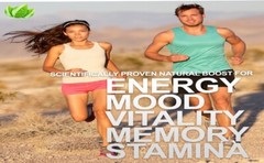 Organic Yellow Maca Root Powder Raw Hormone Balance Stress Relief Energy Boost