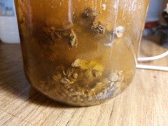 Raw Bee Propolis 30g / 1 oz Stick Pure Fresh 100% Natural Immune Support Booster
