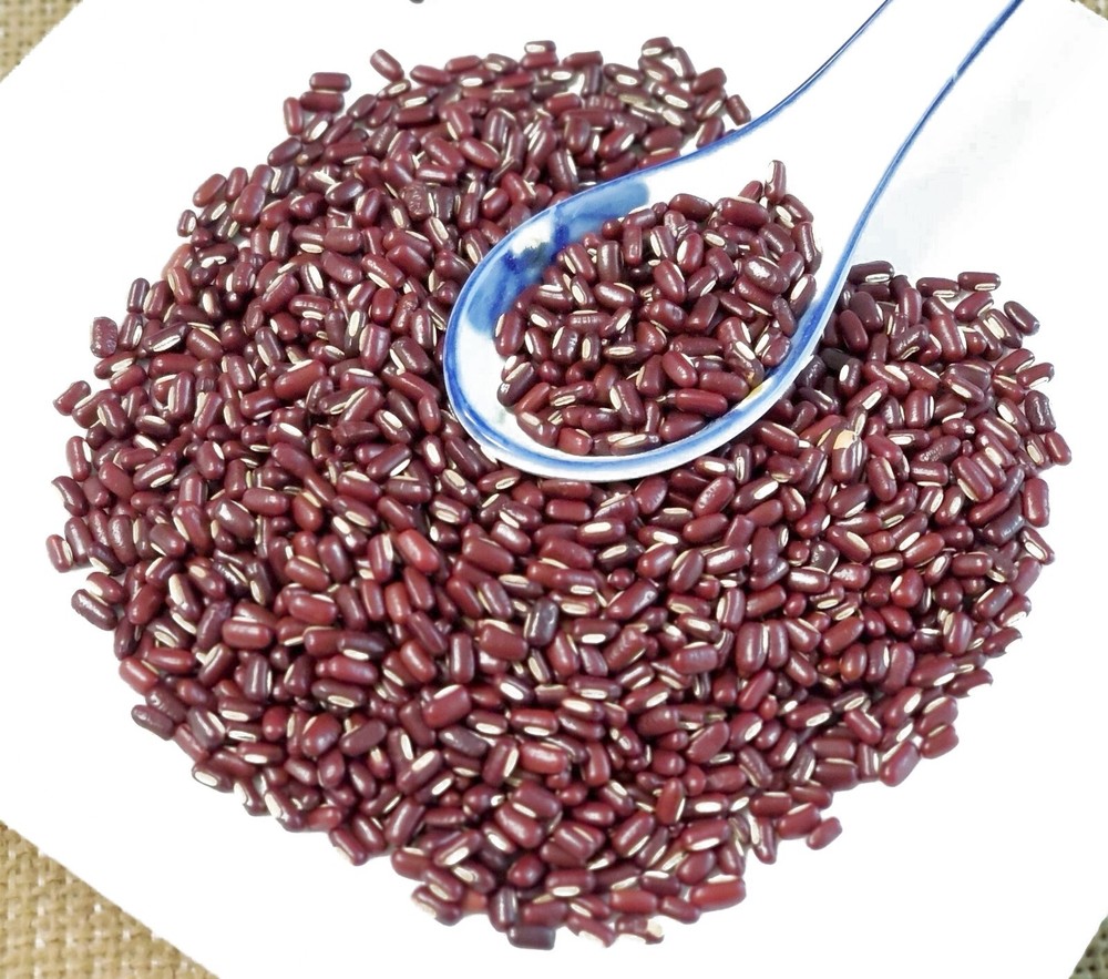 赤小豆 Chi Xiao Dou / Semen Phaseoli / Adsuki Bean / Vigna Umbellata /去湿气 水肿 Qu Shi