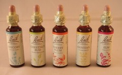 Bach Flower Remedies, Vine 20ml BBE 03/2027