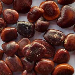 Sri Lankan Dried Tamarind Seeds, Imlii beej, Tamarindus Indica Natural – 100g