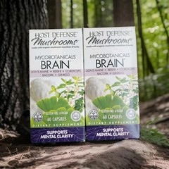 (LOT of 2) Host Defense – MycoBotanicals Brain Supplement Mental Clarity (60 ct)