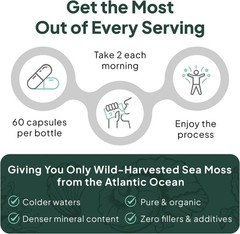 Organics Ocean Wild Sea Moss Capsules – 100% Organic 60 Count (Pack of 1)