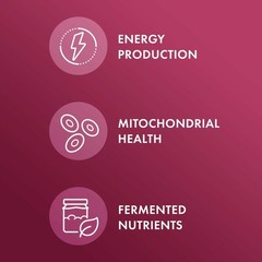 Dr. Mercola Organic Fermented Beets – Nitric Oxide 60 Count (Pack of 1)
