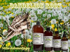 Dandelion Root Tincture Extract 2400mg