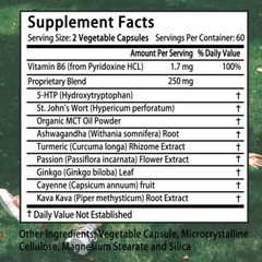 Mood Support Supplement,With 5-Htp,St Johns Wort,Support Stress Response 120caps