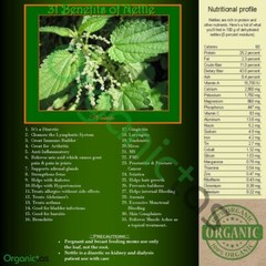 Whole Organic Stinging Nettle Powder Wild Harvested Urtica Dioica 25g – 400g BIO