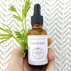 Organic Cleavers Extract Fresh Cleavers tincture, Wildcrafted 1 oz, lymph herb