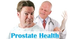 Prostate support – SAW PALMETTO EXTRACT – 1B/100 Capsules – saw palmetto