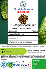 Dandelion Root Extract 10:1 Powder