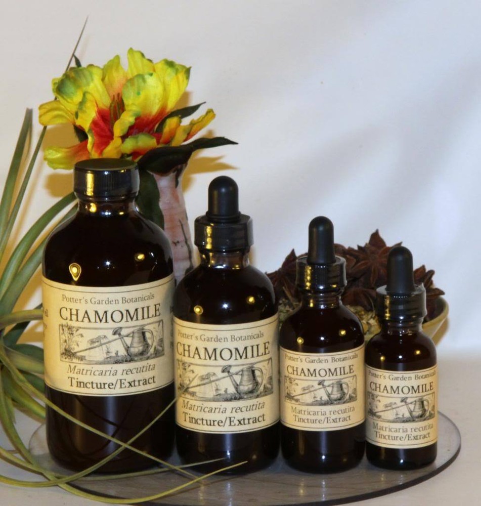 CHAMOMILE Calm Heartburn Relax Restful Sleep ~ Organic Folk Remedy Tincture ~