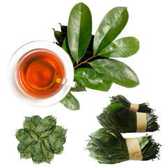 Organic Dried Soursop Graviola Leaves Herbal Tea Hojas De Guanabana Leaves