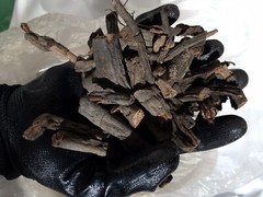 Sarsaparilla Root (Mexican), Dried – 2oz/57grams,4oz/113grams,6oz/170gr,8oz/227g
