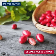 Miracle Berry Seeds – 35 Count – Fresh Synsepalum dulcificum Tropical Red