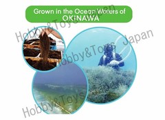 2 Boxes Fucoidan Tablet 250 Kanehide Bio Okinawa Agaricus Reishi Supplement D