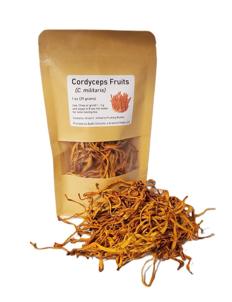 Cordyceps Mushrooms – Whole Dried Fruiting Body Mushrooms