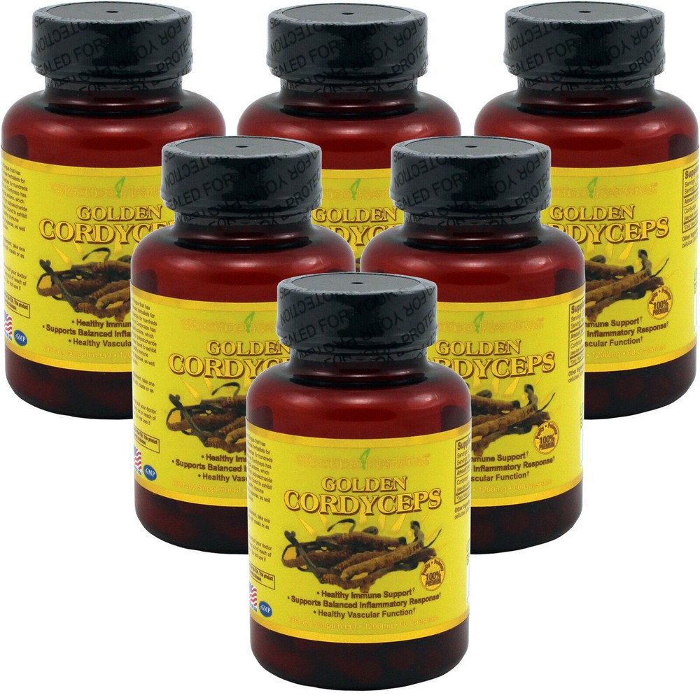 6 x Golden Cordyceps Immune Support 60 Caps