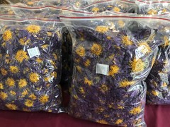 Blue Lotus |Nymphaea Caerulea| 100% Organic Herbal Hand Picked Pure Flowers Tea