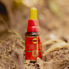 POLENECTAR Propolis Extract Brazilian Green Wax Free 80 Bee Case 24x 30 mL