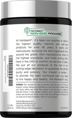 Echinacea Capsules 1300mg | 300 Count | Vegan, Non-GMO | by Horbaach