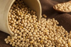 Hunza Organic Soybeans 2 lbs – Non-GMO, High-Protein Cooking Essential