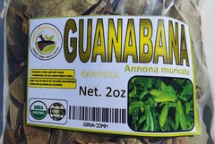Soursop leaves, soursop leaf, Natural organic graviola leaves for tea
