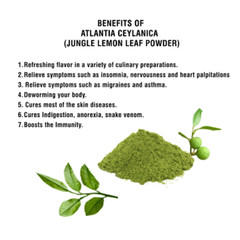 Atalantia Ceylanica Leaf Powder 100g Wild Lemon 100% Organic Yaki Naran Powder
