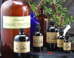 ST. JOHN’S WORT Extract beat blues calm depression ORGANIC FOLK Remedy Tincture~