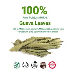 Guava Leaves Tea, Hojas De Guayaba, 100%Natural Fresh Te, Psidium Guajava 2.6 Oz