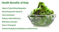 30 SuperFood Green Powder Tea Bags-Moringa•Spirulina•Wheatgrass•Kelp•Green Tea