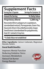pure resveratrol supplement – RESVERATROL 1200mg – max strength anti aging 3B