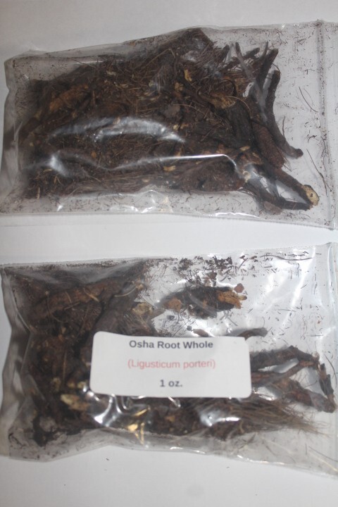 1 oz. Osha Root Whole (Ligusticum Porteri) Wildcrafted