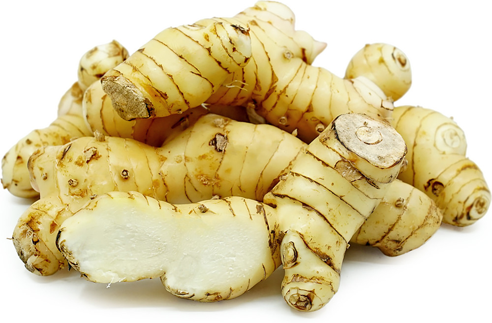 Fresh Galangal Root 1 lb Thai Ginger Herb Cooking Plant Rhizome Ships Fresh