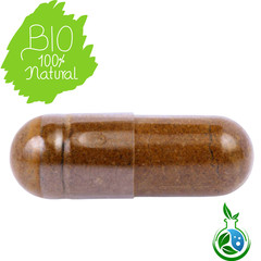 Ceylon Cinnamon Capsule | 60 ct Vegan| Natural Blood Sugar Balance & Heart 500mg