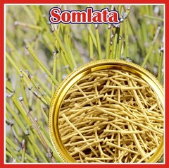 JOrganics Somlata Gerardiana Ayurvedic Somlata Panchang | – 100gm