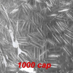 1000 Real Empty Vegetarian Clear Caps Capsule Size 0 Halal Vegan Refill Herbal