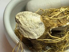 Wild Yam Root 2 oz Dioscorea villosa Fibrous Roots Left On Volume Pricing