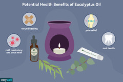 ORGANIC Herbal Loose Dried EUCALYPTUS LEAF,Cold,Flu,Congestion, Natural No GMO