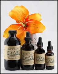 BOBINSANA Extract Heal Heart Open ~ Search Space Organic Folk Remedy Tincture ~
