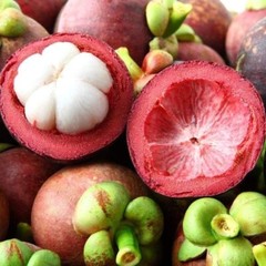 Cardiovascular Wellness Solution – MANGOSTEEN COMPLEX – Heart Health Support 1B