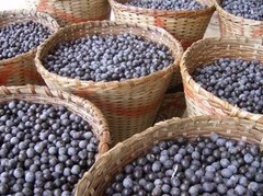 ACAI Assai freeze dried powder 4oz 8oz 16oz 1lb 32oz 2lb 4lb 10lb 55lb – PAJE