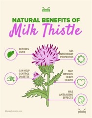 Milk Thistle Tincture Organic & Strong Detox & Heals Liver, Jaundice, Cirrhosis
