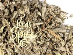 Herbal White Sage Tea – Classic Sage Herb Free Shipping – USA Grown