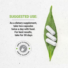 Secrets Of The Tribe Stevia Capsules, 500 mg
