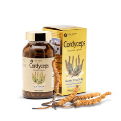 FINE JAPAN Cordyceps Mushroom 120 Capsules – Energy, Stamina, Immune Support