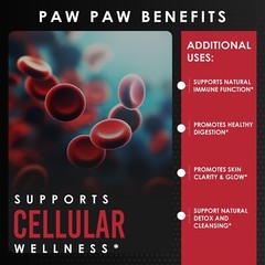 Paw Paw Bark 20:1 Extract 120 Capsules